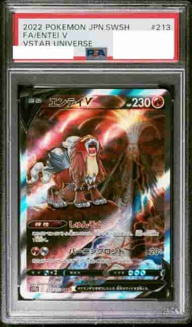 Prize image: PSA10 Entei V (JP) - SAR (S12a 213/172)