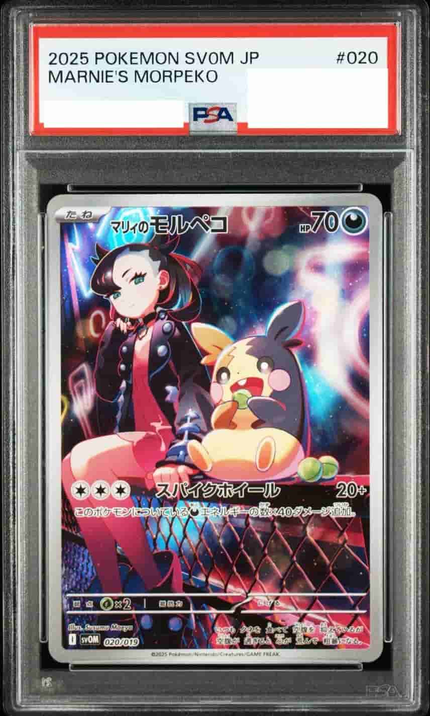 Prize image: (PSA)マリィのモルペコ (AR仕様) -  (svOM 020/019)
