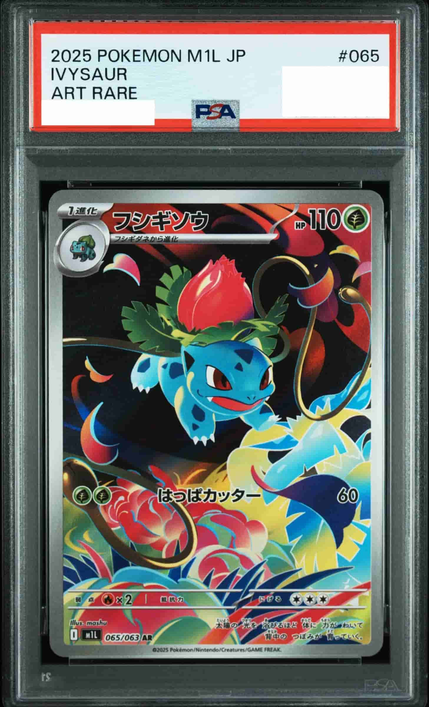 Prize image: PSA10 Ivysaur (JP) - AR (m1L 065/063)