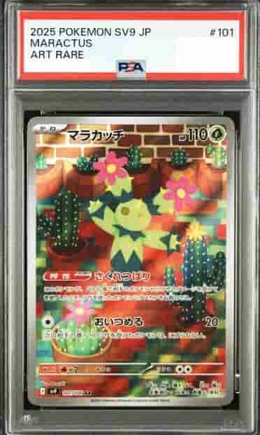 Prize image: PSA10 Maractus (JP) - AR (sv9 101/100)