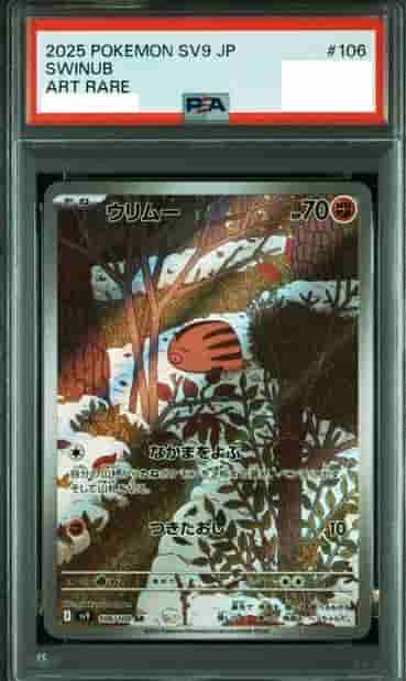 Prize image: PSA10 Swinub (JP) - AR (sv9 106/100)