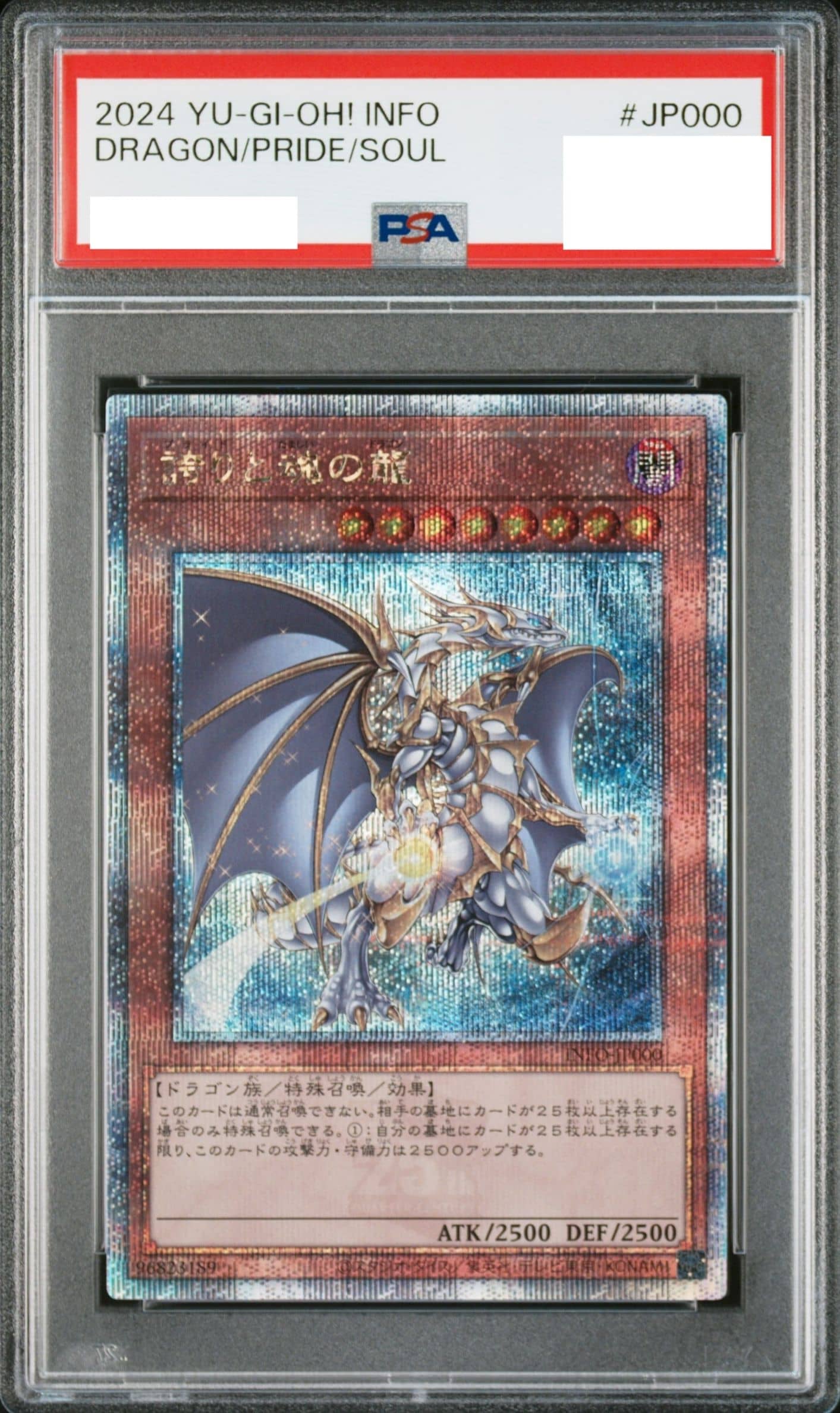 Prize image: (PSA)誇りと魂の龍 - QCSE (INFO-JP000)