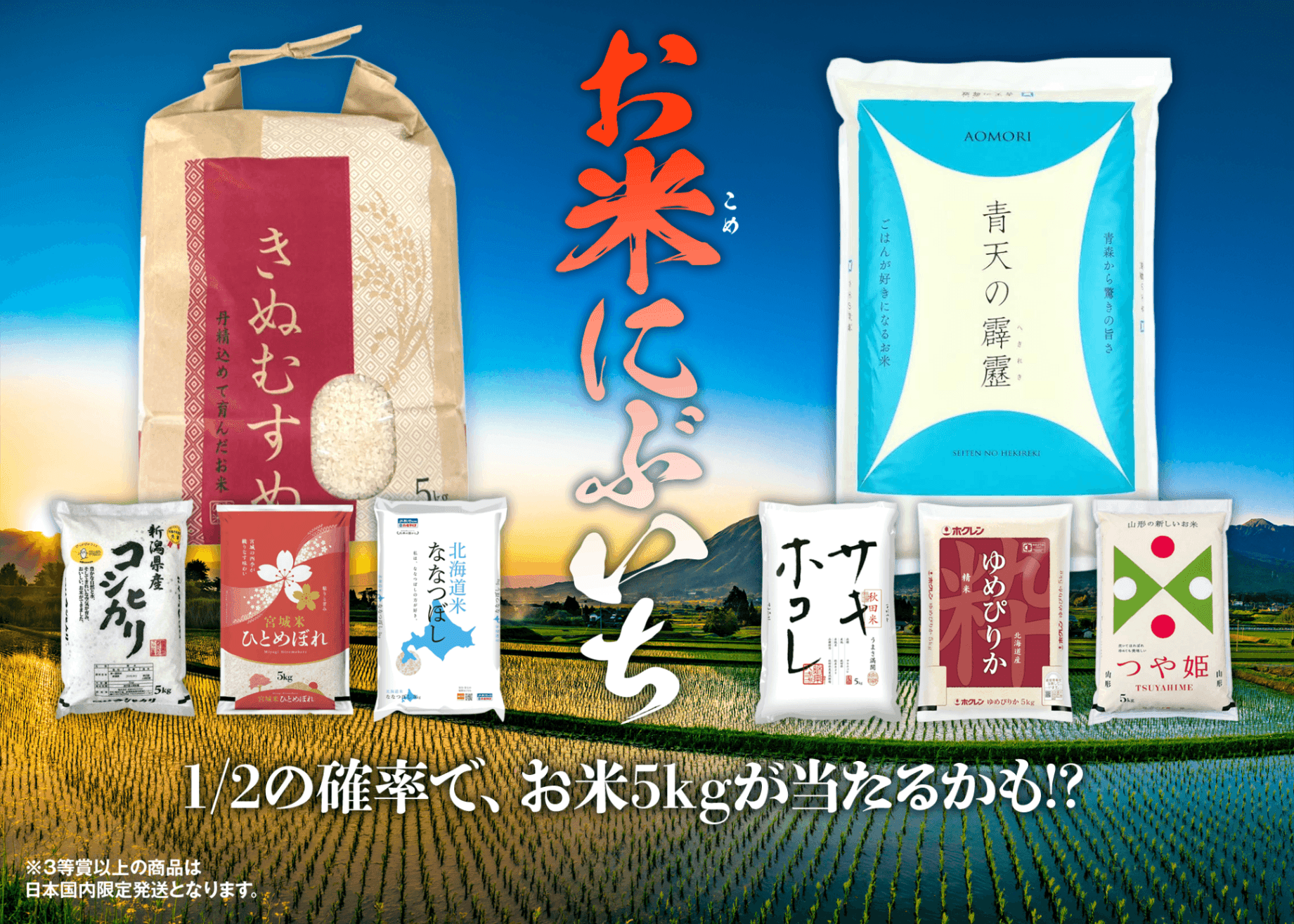 Mystery Pack お米にぶいち | Clove Mystery Packs