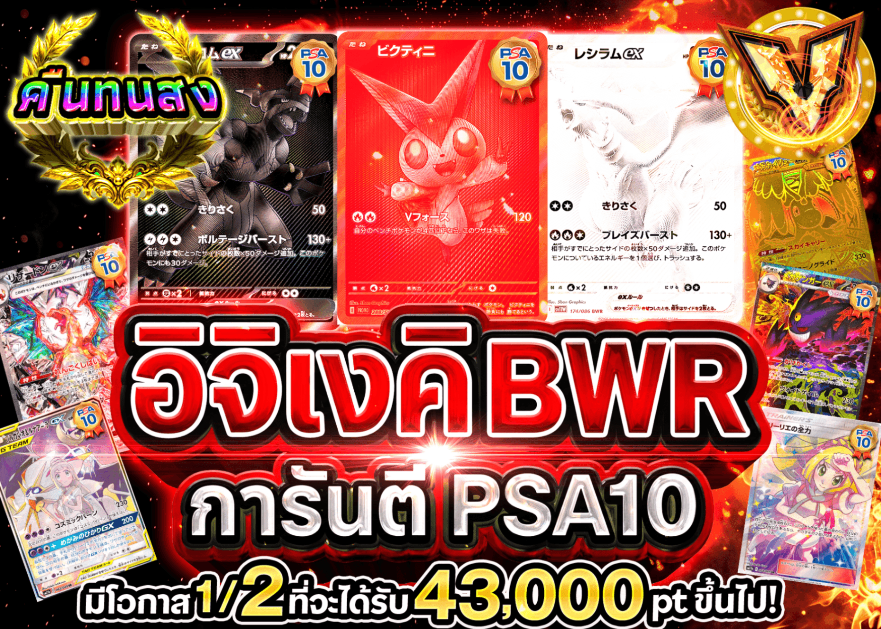 มิสเตอรี่แพ็ค Pokémon PSA10確定 一撃BWR | Clove มิสเตอรี่แพ็ค