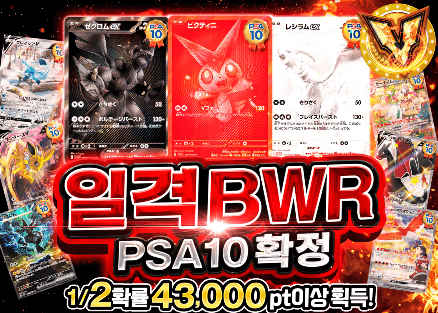 포켓몬 카드 오리파 PSA10確定 一撃BWR | Clove 오리파