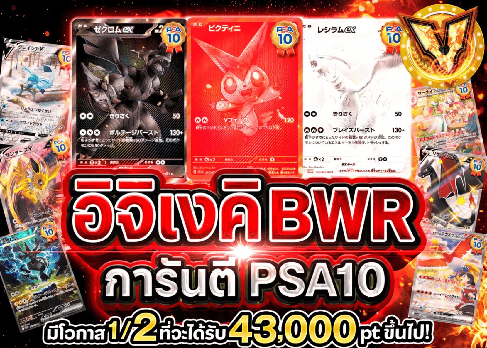มิสเตอรี่แพ็ค Pokémon PSA10確定 一撃BWR | Clove มิสเตอรี่แพ็ค