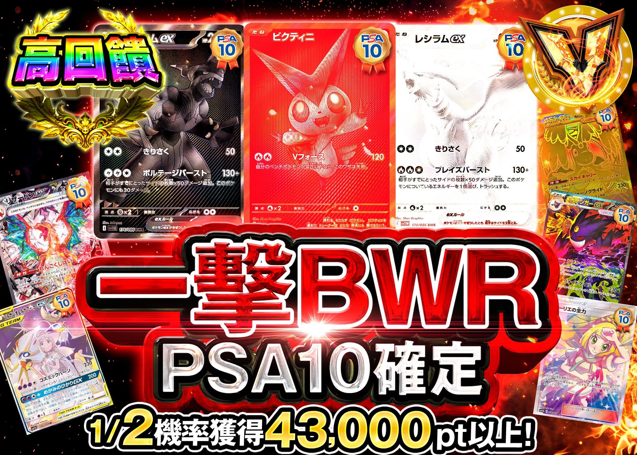 宝可梦盲盒 PSA10確定 一撃BWR | 在线Clove盲盒