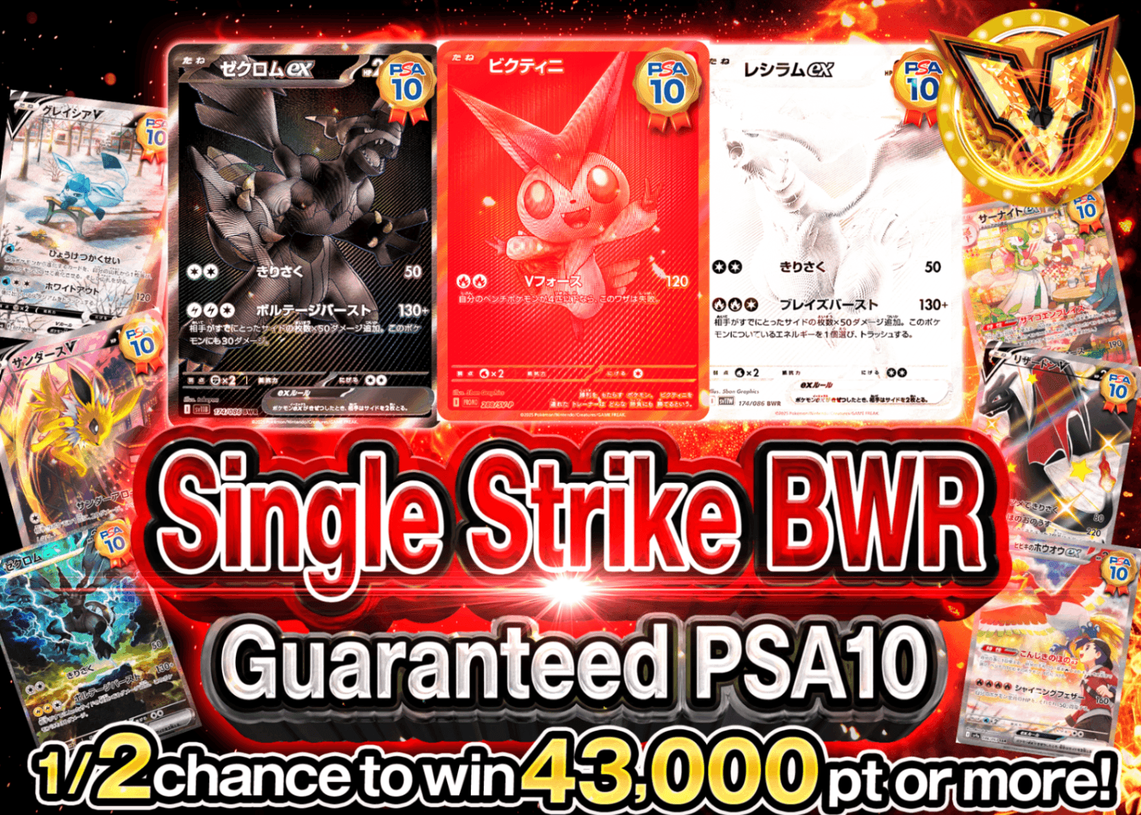 Pokémon Mystery Pack PSA10確定 一撃BWR | Clove Mystery Packs