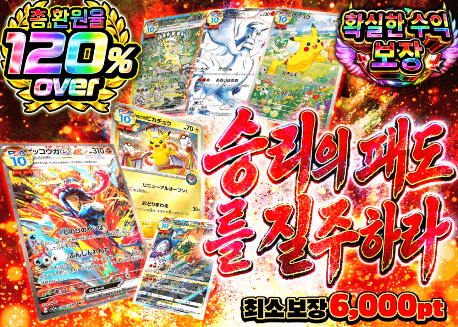 포켓몬 카드 오리파 勝利への覇道を突き進め | Clove 오리파