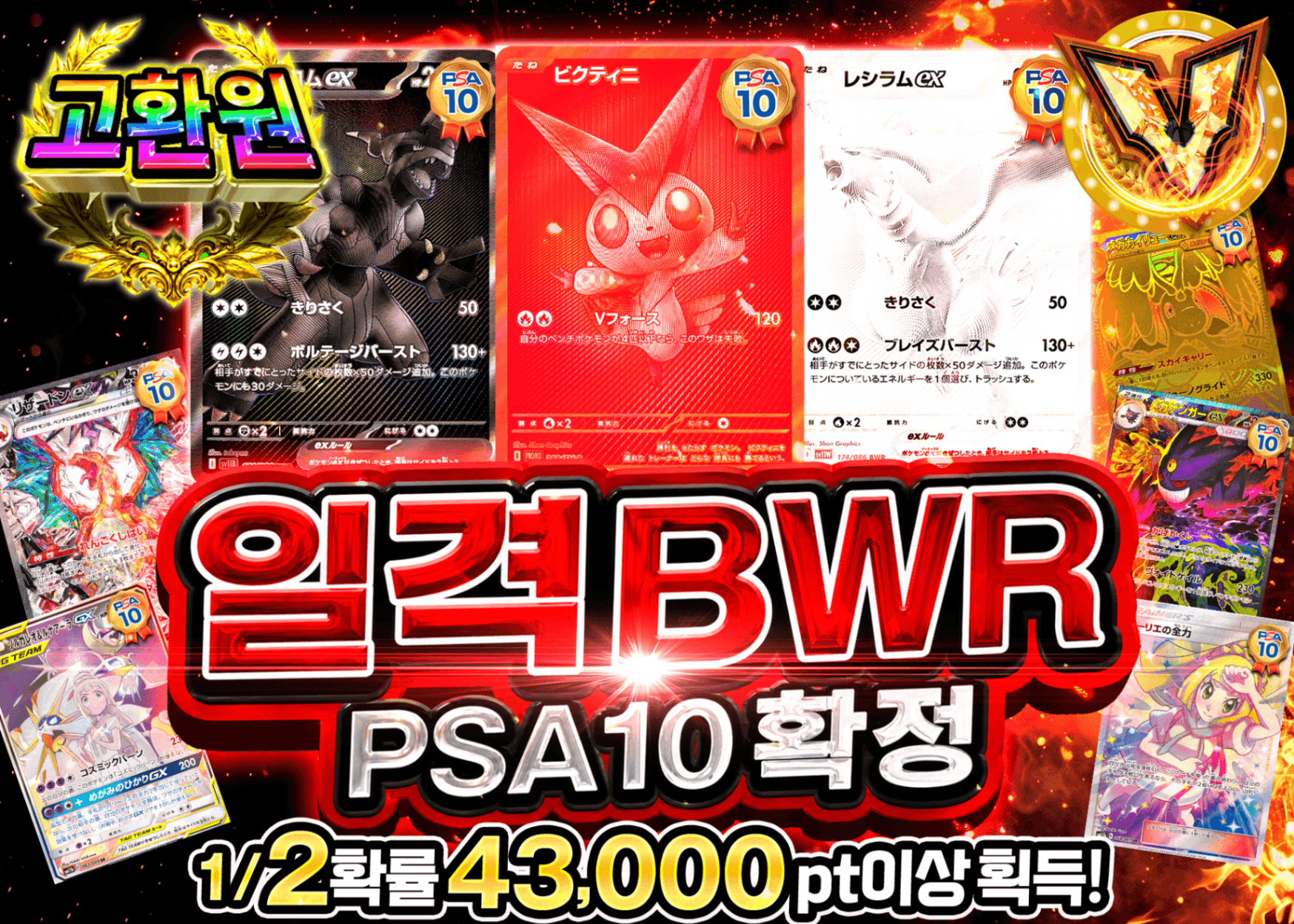포켓몬 카드 오리파 PSA10確定 一撃BWR | Clove 오리파
