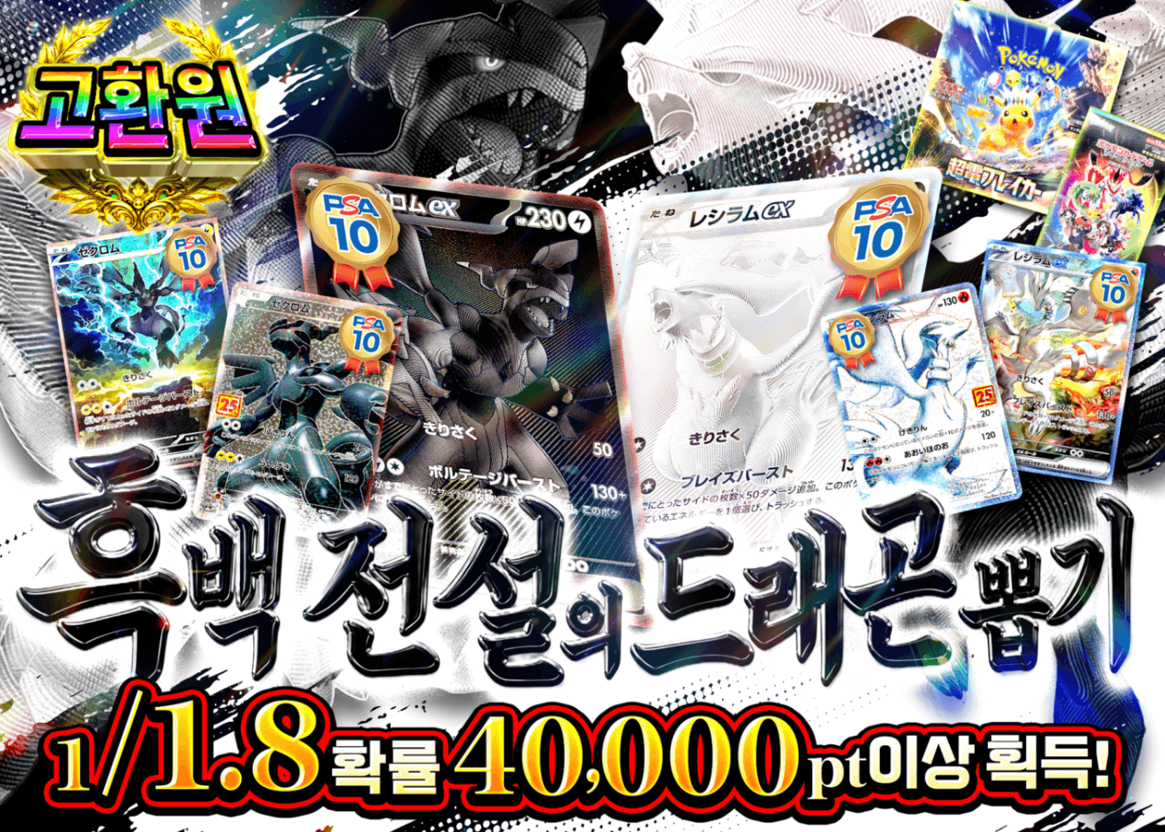 포켓몬 카드 오리파 白黒伝説龍ガチャ | Clove 오리파
