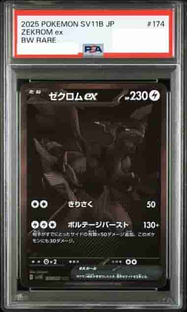 Prize image: PSA10 Zekrom ex (JP) - BWR (sv11B 174/086)